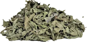 Dried Basil Leaves Texture PNG image