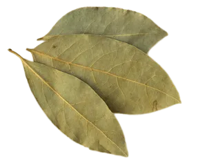 Dried Bay Leaves Black Background PNG