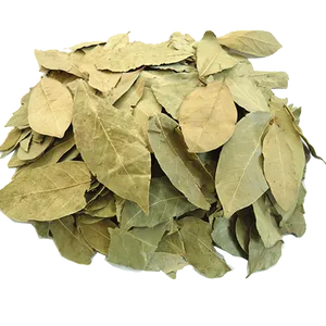 Dried Bay Leaves Herbal Spice PNG image