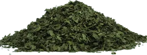 Dried Crushed Green Leaves Texture PNG