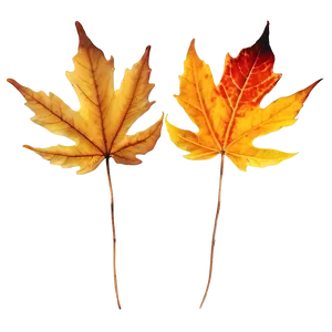 Dried Fall Leaves Png 92 PNG image