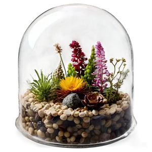 Dried Flower Glass Terrariums Png Peo PNG image