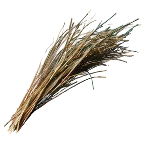 Dried Grass Clippings PNG 67