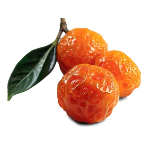 Dried Kumquat Png Vnj67 PNG image