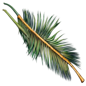 Dried Palm Leaves PNG 05252024 PNG