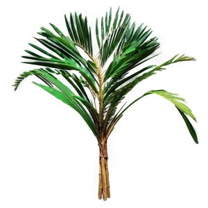 Dried Palm Leaves PNG Dvr90 PNG
