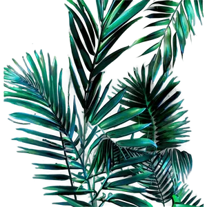Dried Palm Leaves PNG Lwe9 PNG