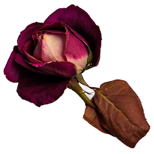 Dried Rose Petals Png Fuw88 PNG image