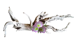 Driftwoodand Pink Flower Art