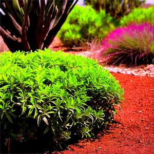 Drought Tolerant Shrubs PNG Tmf53