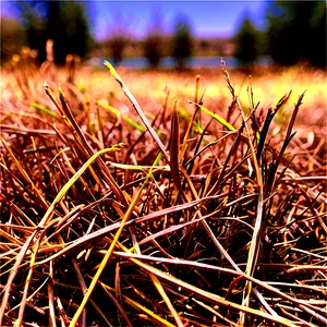 Dry Dead Grass PNG Rff