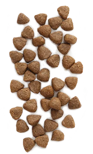 Dry Dog Food Kibble Texture