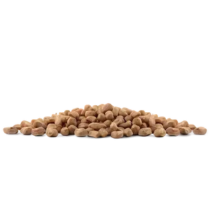 Dry Dog Food PNG 05252024