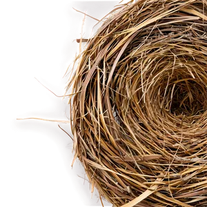 Dry Hay Texture PNG Iep1