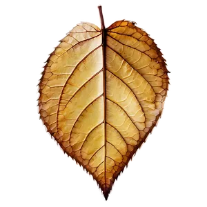 Dry Leaf PNG 05032024