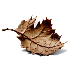 Dry Leaves Png 5 PNG image