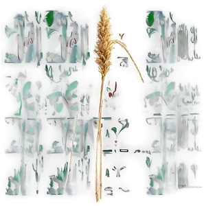 Dry Prairie Grass Png 06262024 PNG image