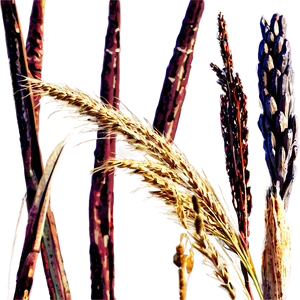 Dry Prairie Grass Png Edi PNG image