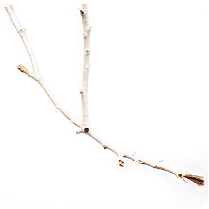 Dry Twig Png 42 PNG image