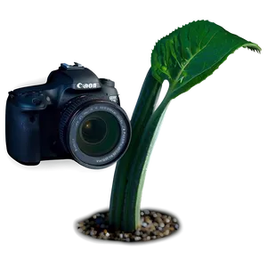 Dslr Camera For Wildlife Photography Png Mio PNG image