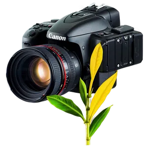 Dslr Camera In Nature Png 06252024 PNG image