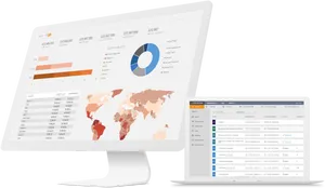 Dual Screen Data Analysis Setup