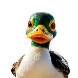 Duck At Lake PNG Son PNG