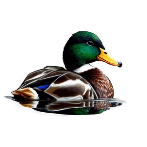 Duck Bird Swimming PNG Ndx