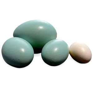 Duck Eggs PNG 71