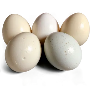 Duck Eggs PNG 86