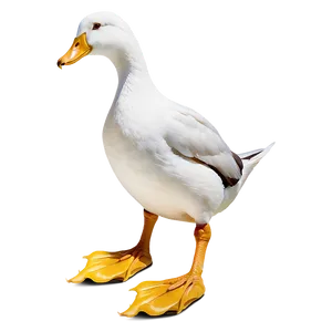 Duck Feet PNG Fka10