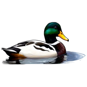 Duck In Nature Png 21 PNG image