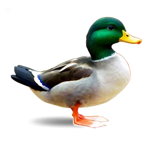 Duck In Nature PNG Mla PNG