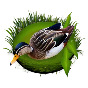 Duck In Pond Png 05032024 PNG image