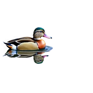 Duck In Pond PNG Ynf