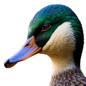 Duck Profile PNG Tjm