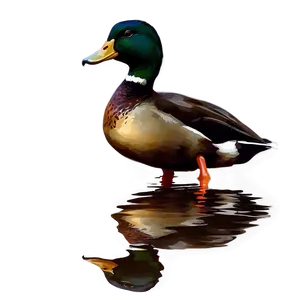 Duck Silhouette At Sunset PNG 66 PNG