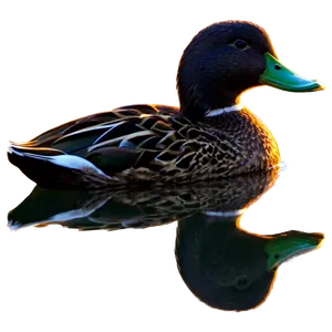 Duck Silhouette At Sunset PNG Cpr68 PNG