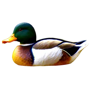 Duck Swimming Png 05032024 PNG image