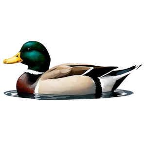 Duck Swimming PNG Fqw