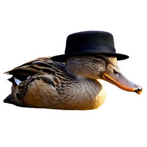Duck Wearing Hat PNG Fsk