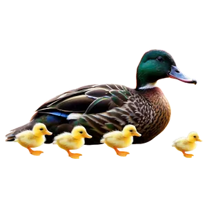 Duck With Ducklings PNG 05032024