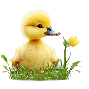 Duckling Clipart Png Hai6 PNG image