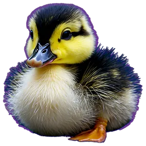Duckling Drawing PNG 06202024