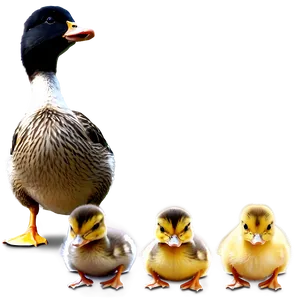 Duckling Family PNG Iep