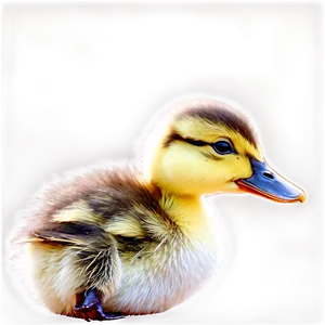 Duckling Family PNG Rtg