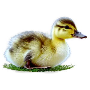 Duckling In Grass Png 06202024 PNG image