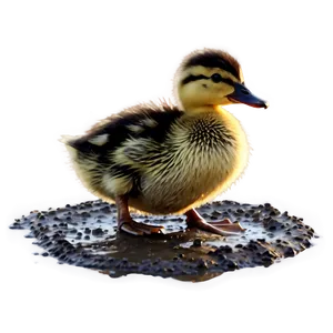 Duckling In Mud PNG 06202024