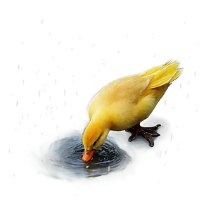 Duckling In Rain PNG Lgd87 PNG