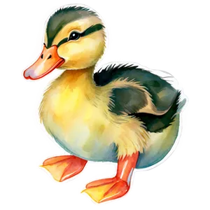 Duckling In Watercolor PNG 15 PNG